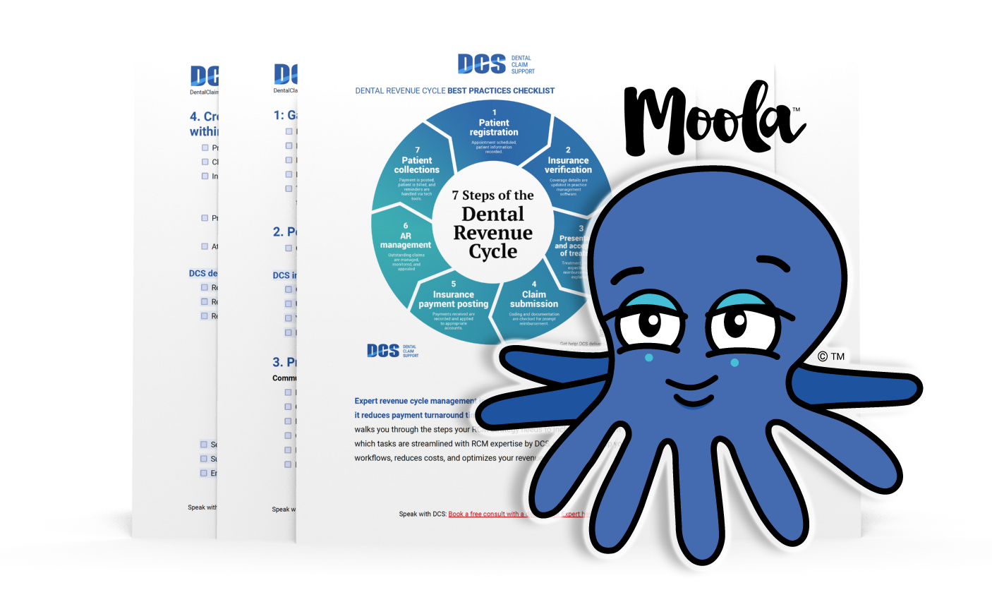 RCM-Checklist-3D-MOOLA